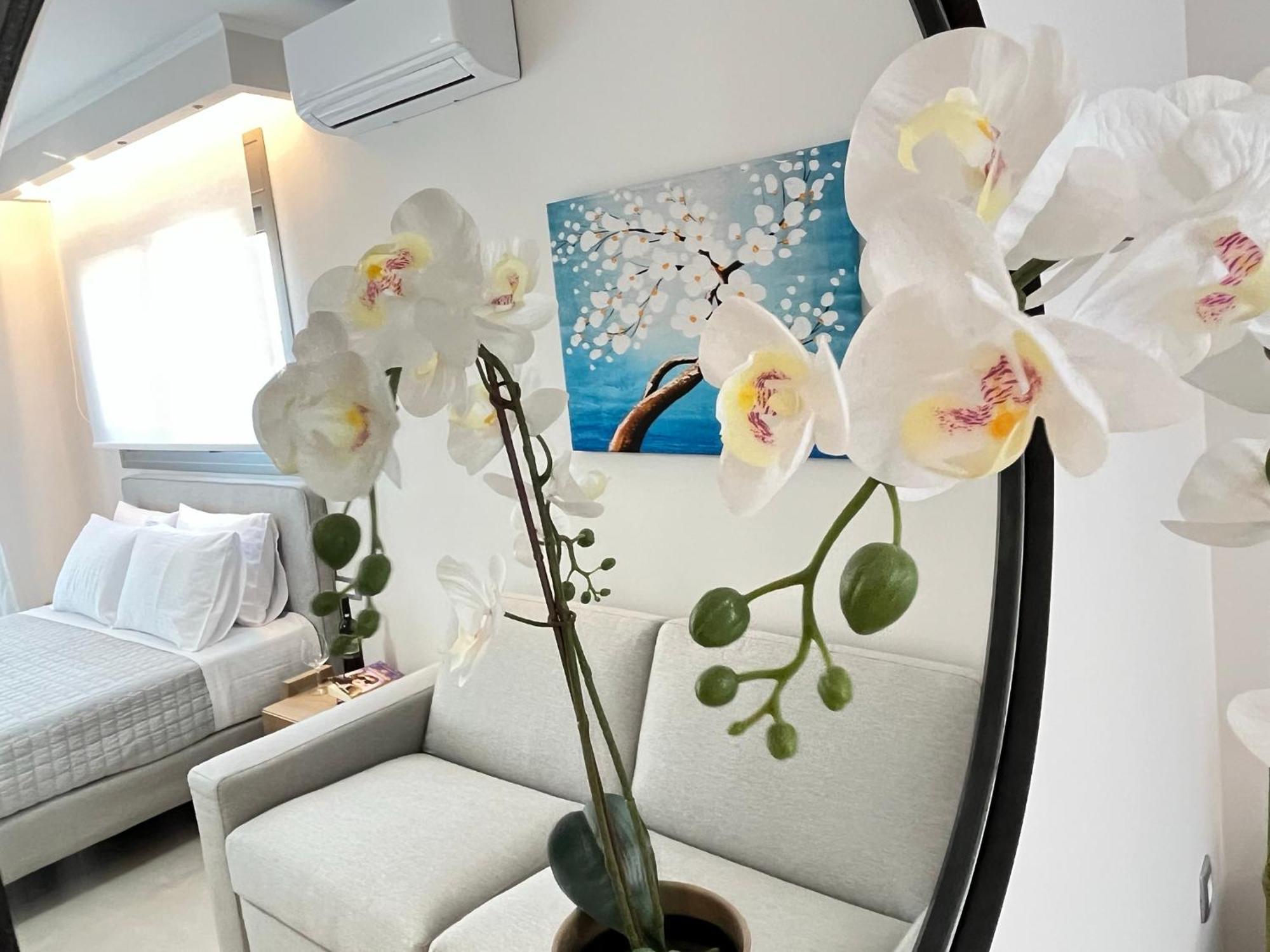 Maison Deluxe Studios And Apartment Parga Eksteriør billede